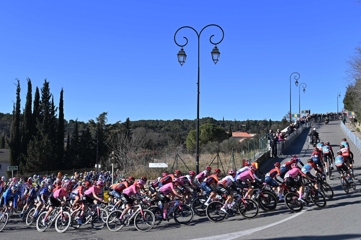 Bestil forskellige Hilse Voldsomt styrt stopper feltet i fransk cykelløb