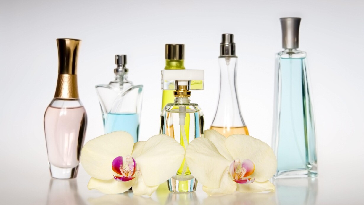 Skab din parfume i Sydfrankrig